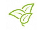 Herbs and blends Dr. Svatek
